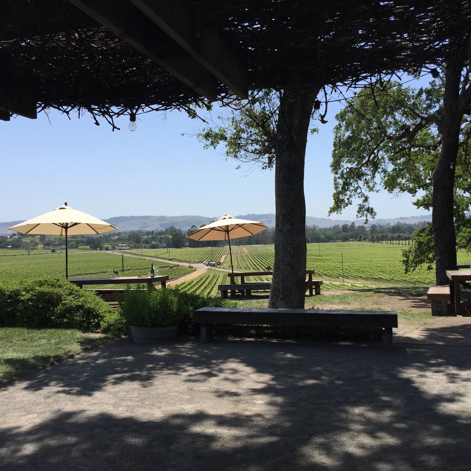 sonoma2