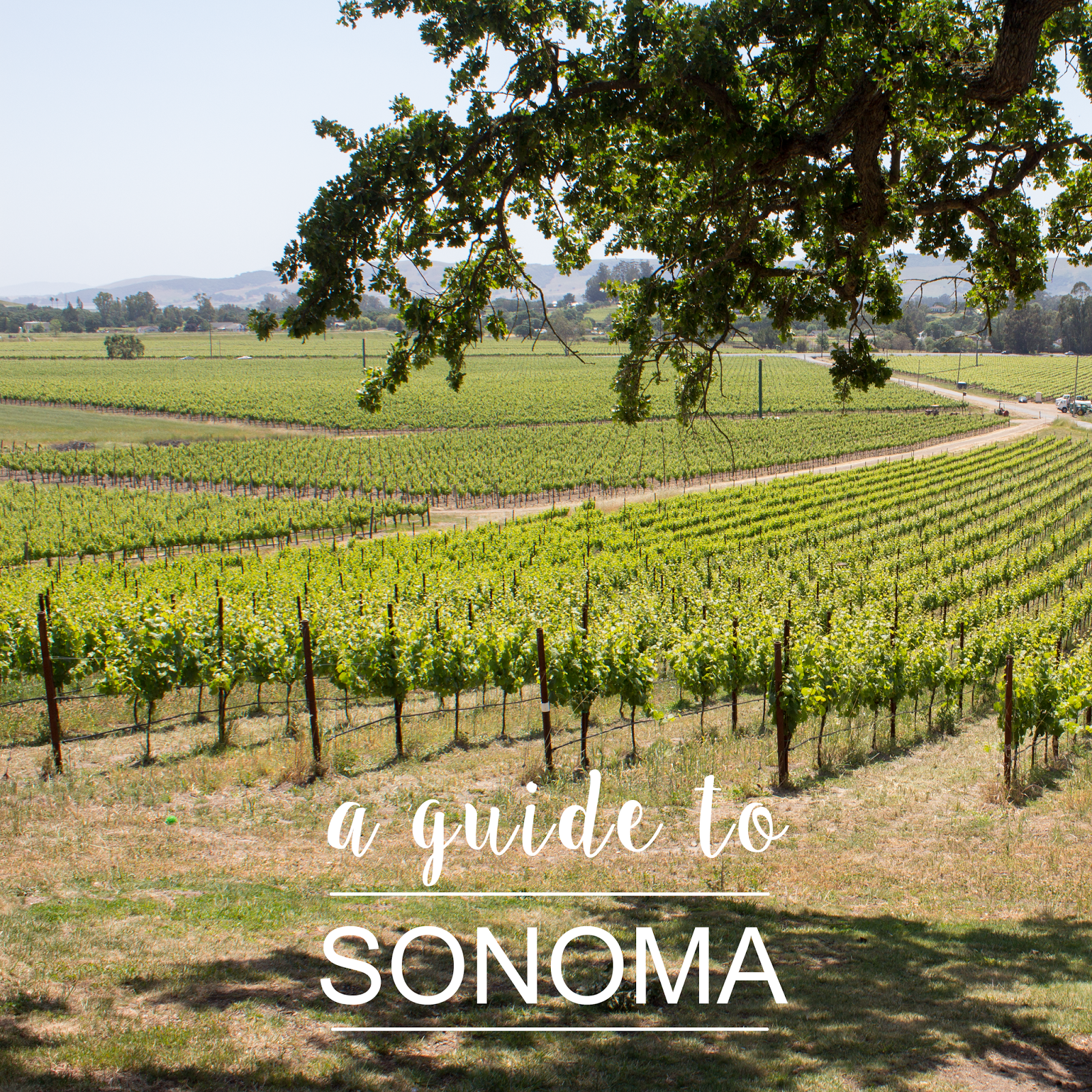 guidetosonoma