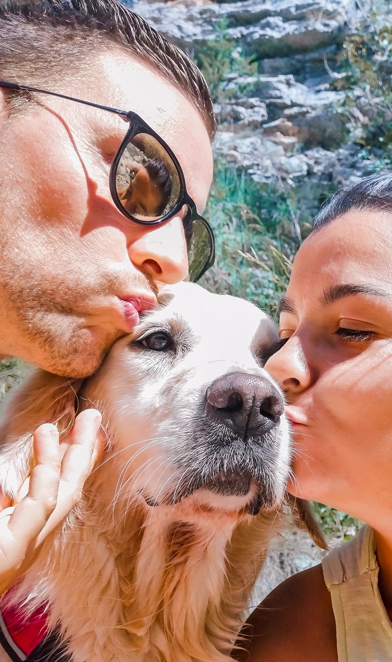 Goldntravels blog voyage avec son chien (