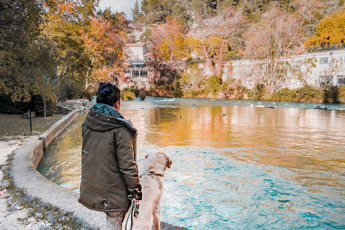 Quand visiter Fontaine du Vaucluse avec son chien