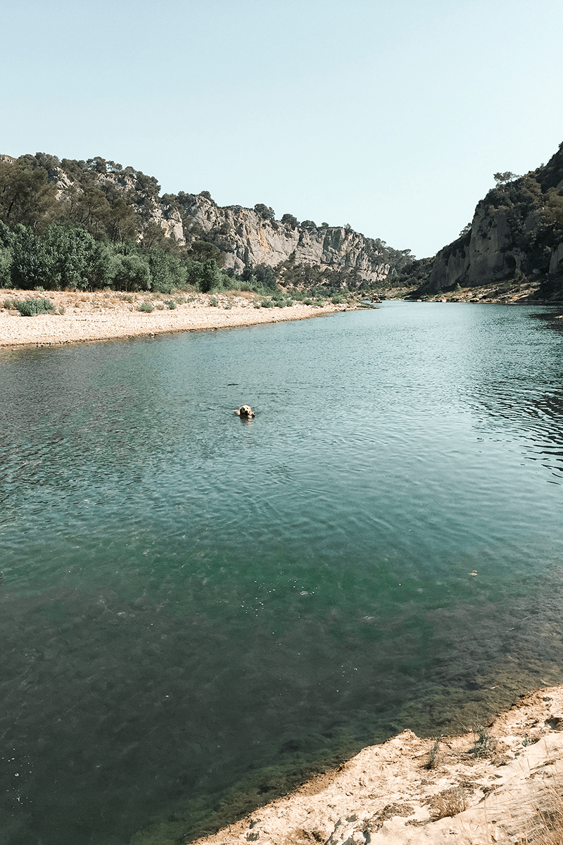Randonnée dans les Gorges du Gardon avec son chien