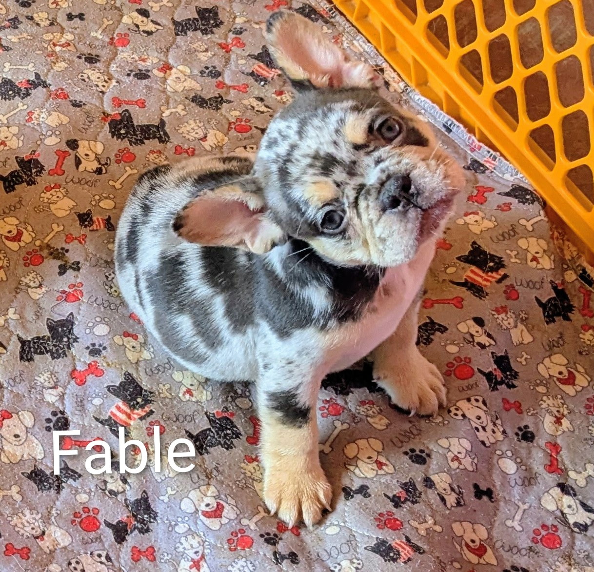 FABLE