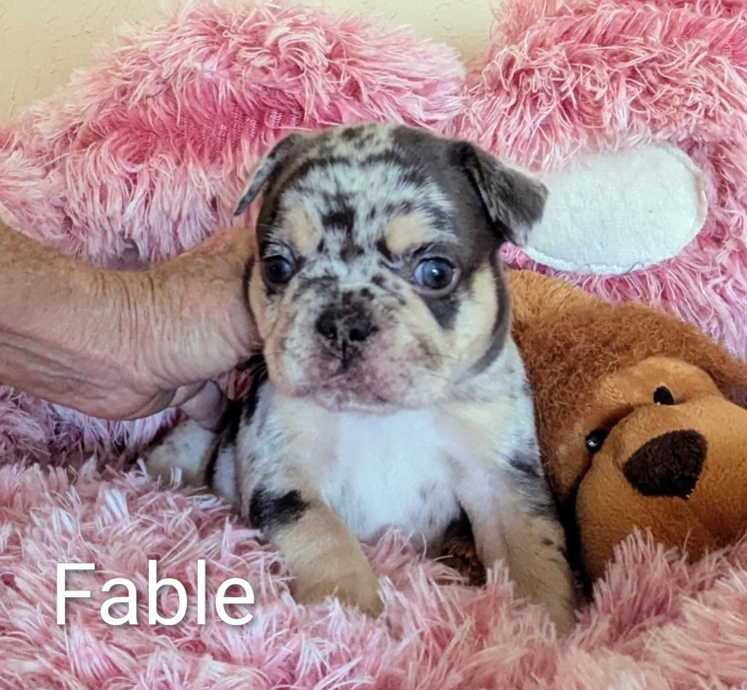FABLE