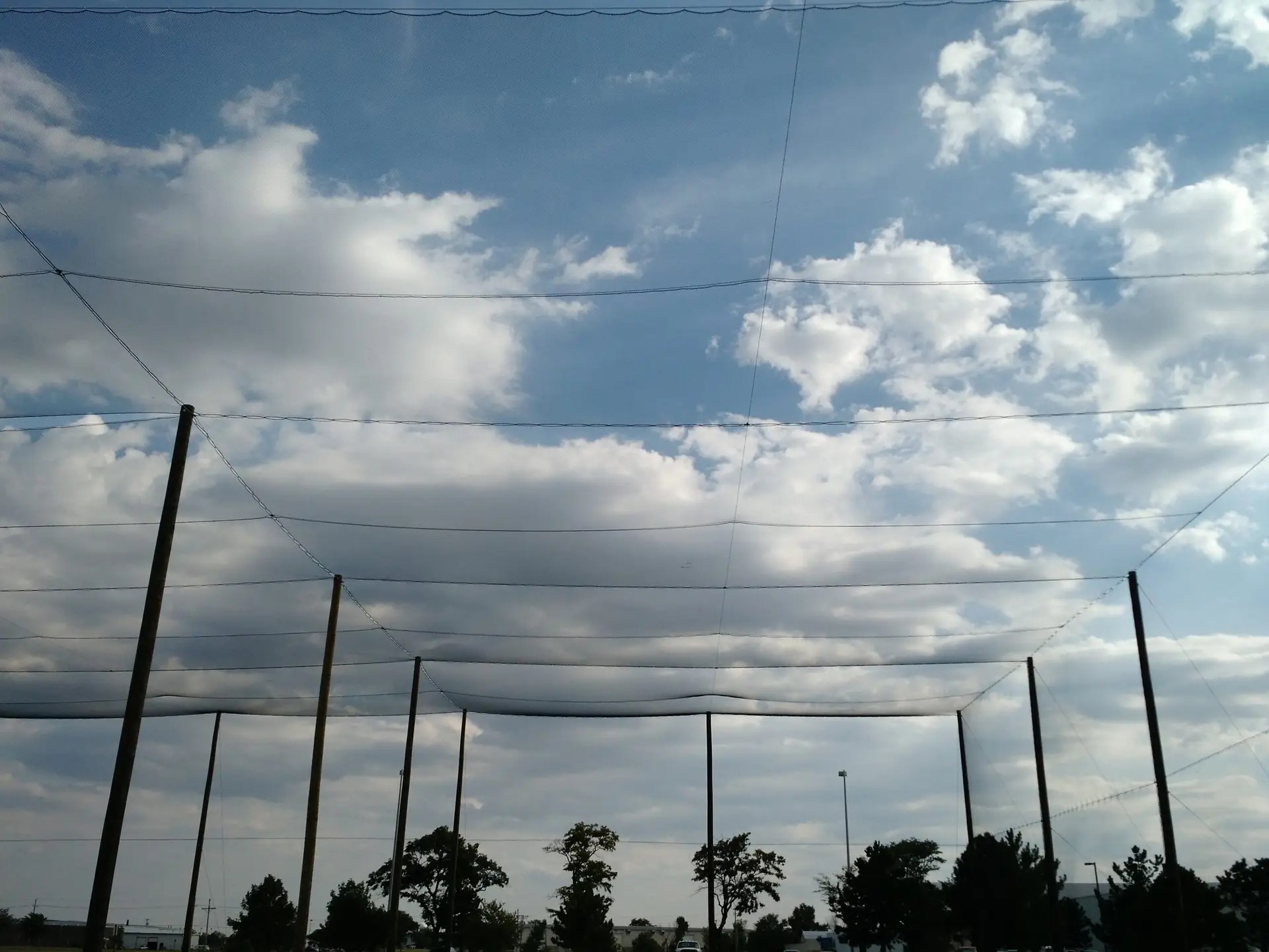 Inside a Custom Netting Enclosure