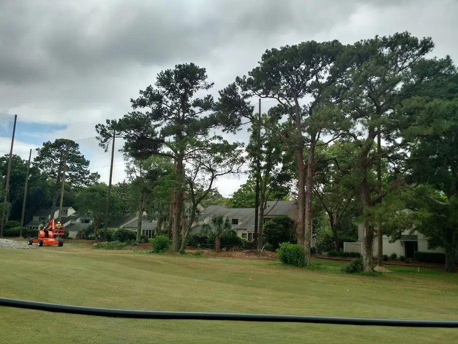 Barrier Netting Protecting Homes