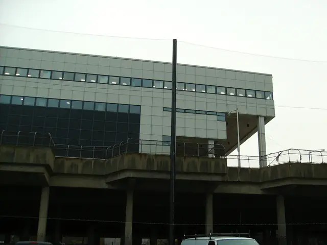Sports Netting System
