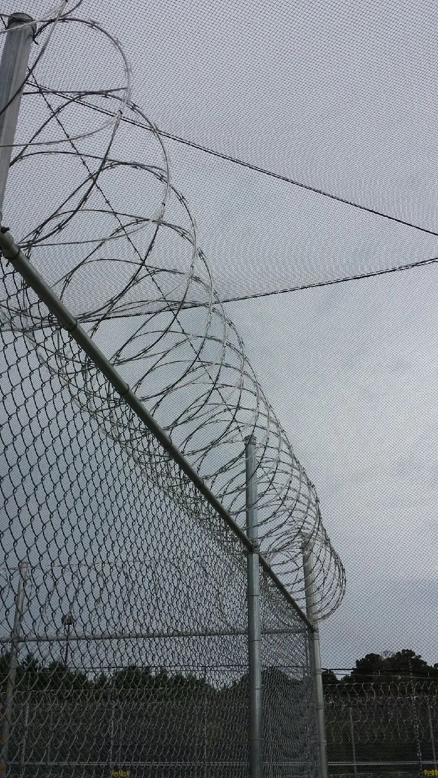 Prison Jail Drug Prevention Nets