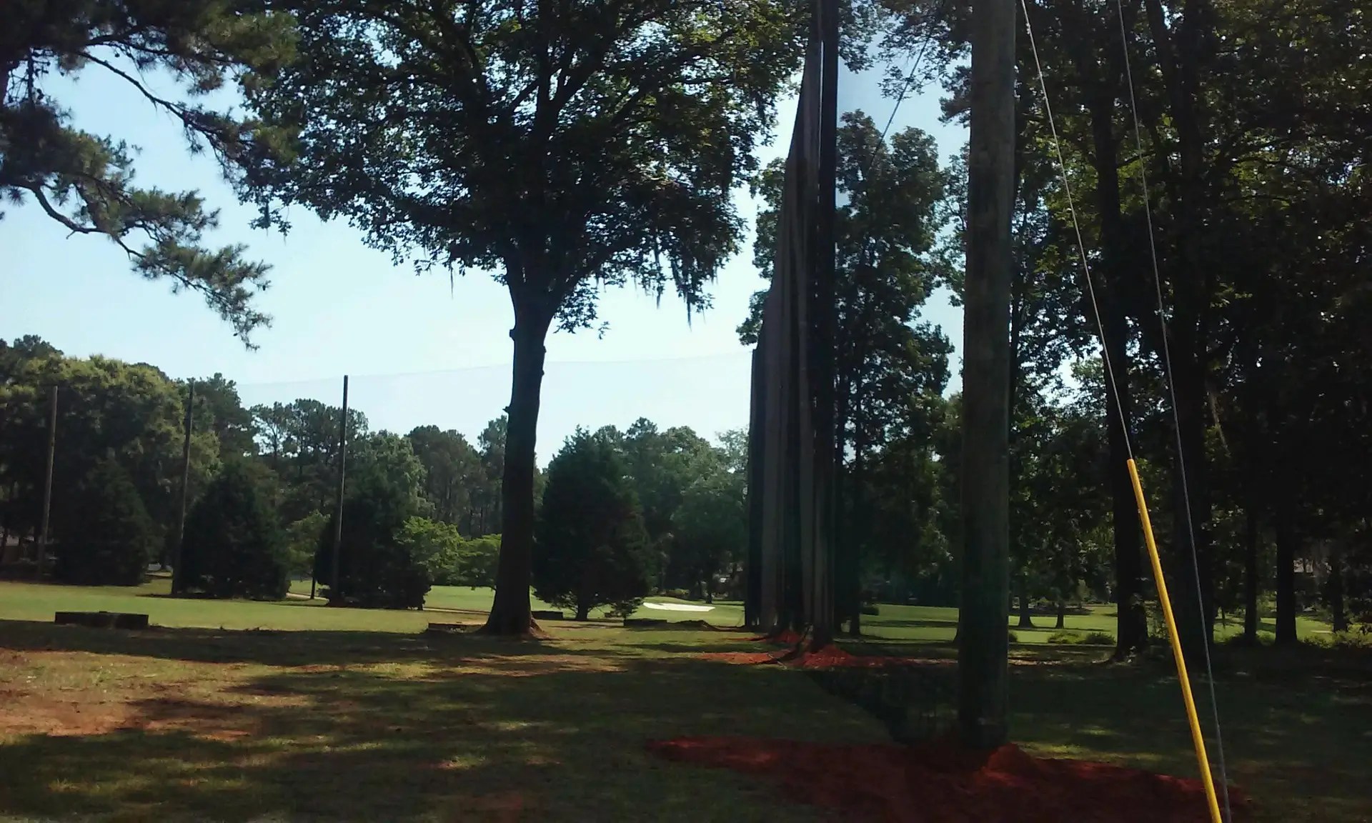 50' Wood Poles supporting Driving Range Netting