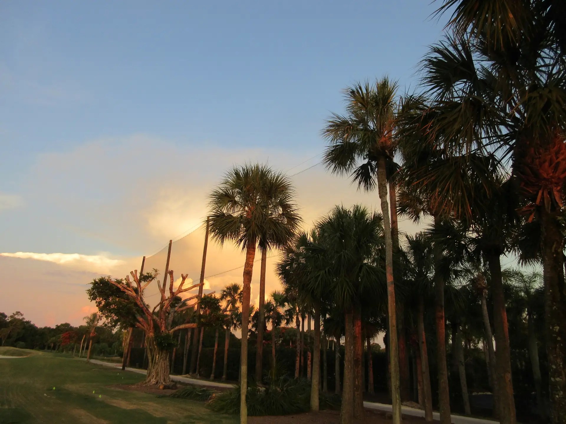 Golf Course Barrier Netting