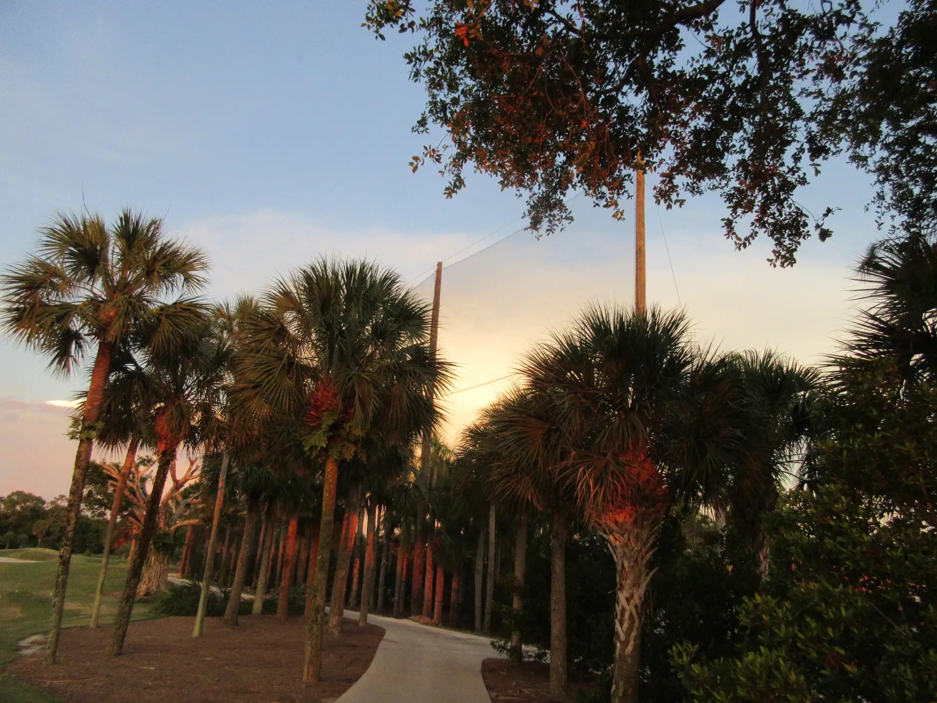 Professional Golf Course Netting Installations