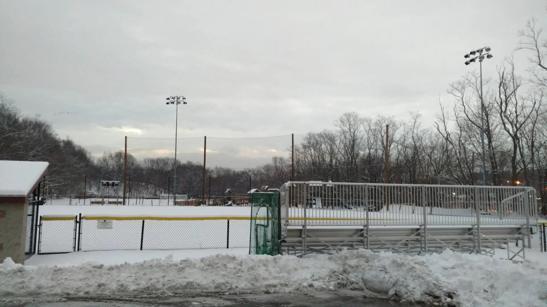 Barrier Netting Structure-Town of Arlington, MA Recreation