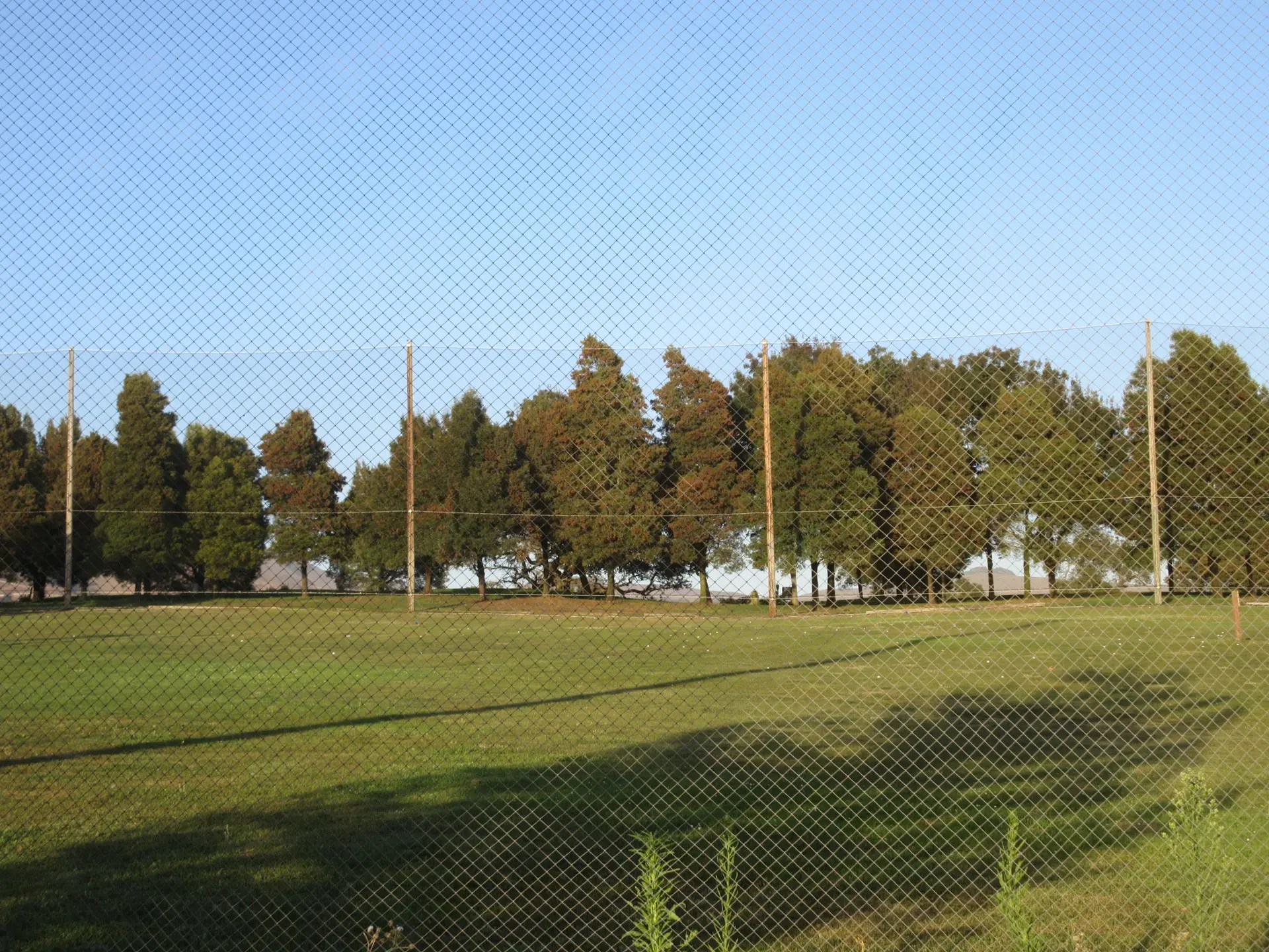 Hardware & Netting Replacement – Eagle Vines Golf Club, CA