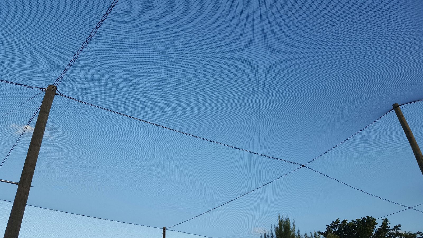 Custom Netting Enclosure – Riviera Golf Course, FL