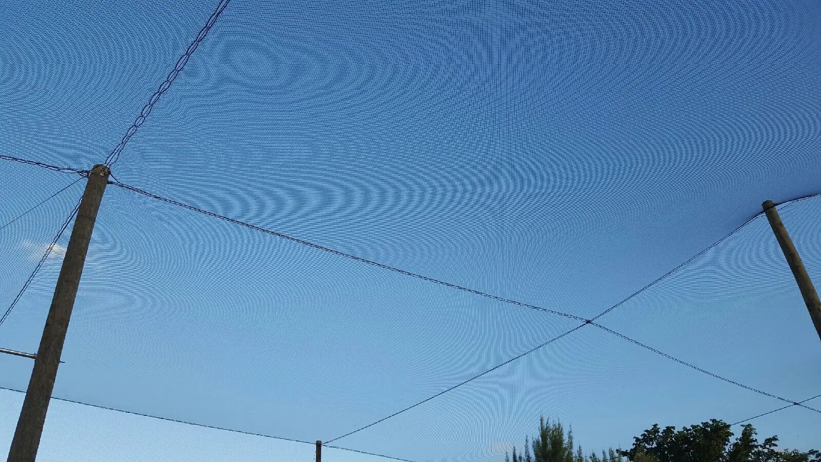 Custom Netting Enclosure – Riviera Golf Course, FL