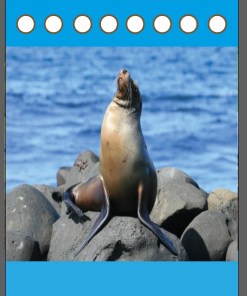 Cortina de foca