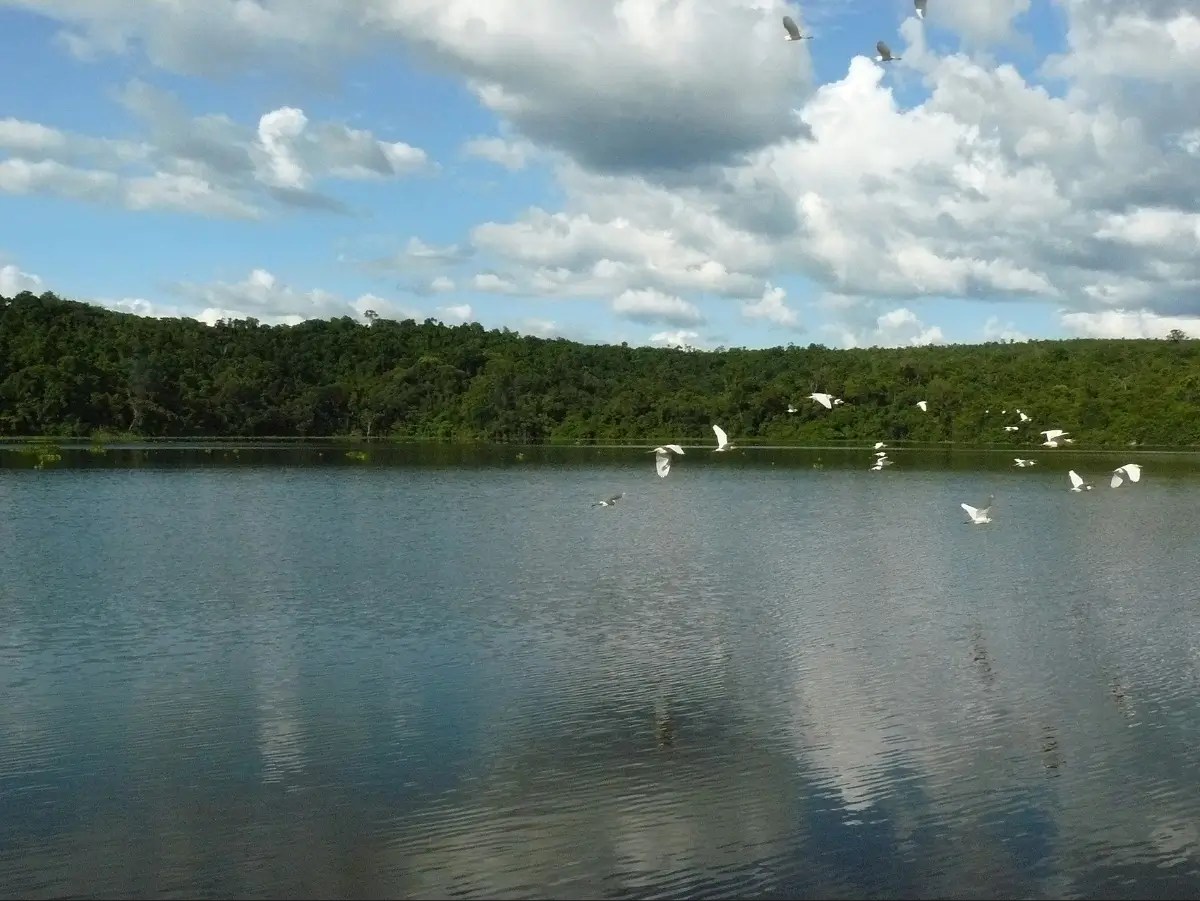 Lake Ravelobe, Ankarafantsika National Park
