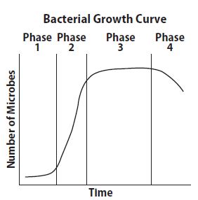 Go Math Grade 8 Answer Key Chapter 6 Functions Lesson 4: Analyzing Graphs img 21