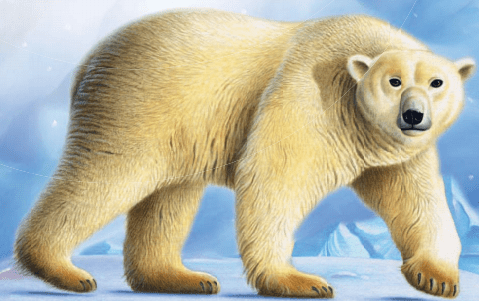 1st Grade Go Math Answer Key Chapter 10 Represent Data 2.3