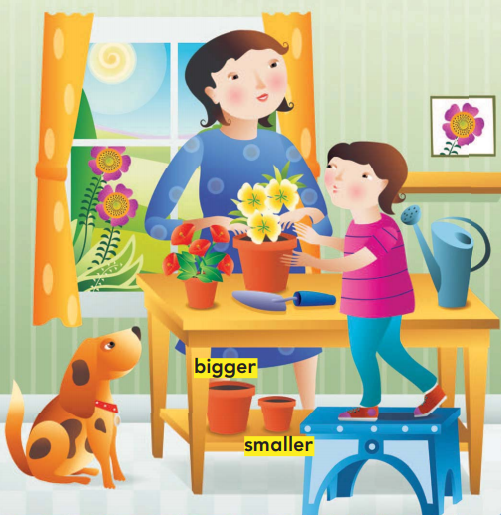 Go Math Answer Key Grade K Chapter 11 Measurement 1.4