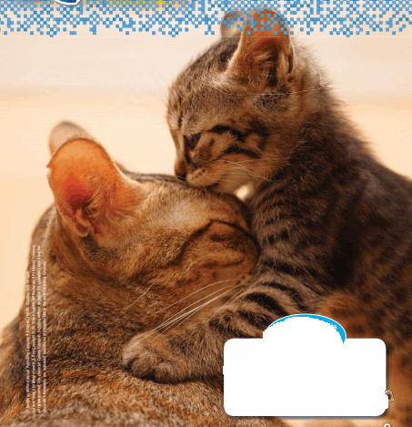 Go Math Grade 1 Answer Key Chapter 1 Addition Concepts 1