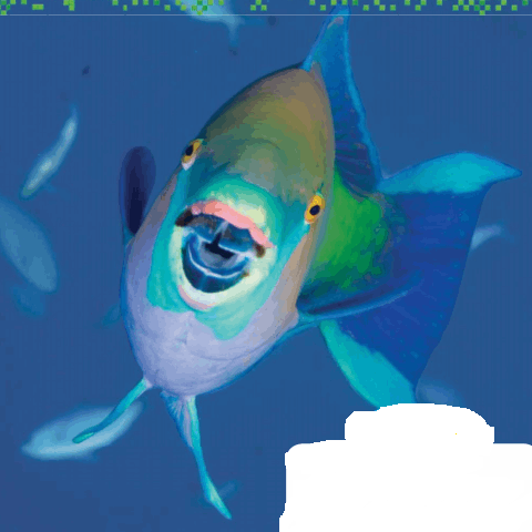 Go Math Grade 2 Answer Key Chapter 3 Basic Facts and Relationships 1