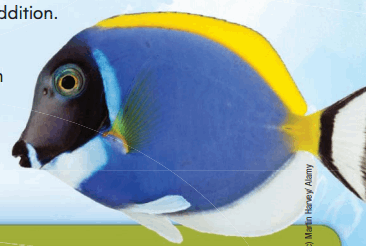 Go Math Grade 2 Answer Key Chapter 3 Basic Facts and Relationships 22.3