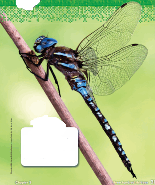 Go Math Grade 2 Answer Key Chapter 5 2-Digit Subtraction 0.1