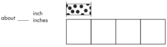 Go Math Grade 2 Answer Key Chapter 8 Length in Customary Units 8.4 19