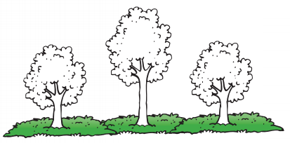 Go Math Grade K Answer Key Chapter 11 Measurement 11.2 5