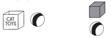 Go Math Grade K Answer Key Chapter 11 Measurement 11.2 9