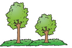 Grade K Go Math Answer Key Chapter 11 Measurement rt 3