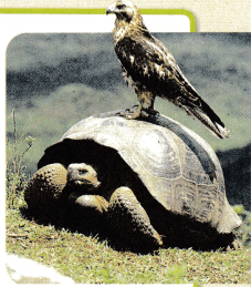 Texas Go Math Grade 7 Lesson 2.2 Answer Key 1