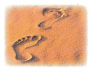 Texas Go Math Grade 1 Lesson 10.3 Answer Key 12