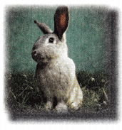 Texas Go Math Grade 1 Lesson 10.6 Answer Key 5