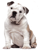 Texas Go Math Grade 1 Lesson 2.5 Answer Key 8