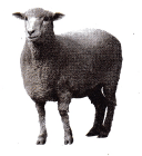 Texas Go Math Grade 1 Lesson 3.3 Answer Key 8