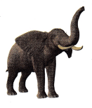 Texas Go Math Grade 1 Lesson 4.6 Answer Key 37