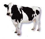 Texas Go Math Grade 1 Lesson 5.2 Answer Key 15