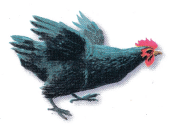 Texas Go Math Grade 1 Lesson 5.2 Answer Key 2