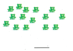 Texas Go Math Grade 1 Unit 1 Answer Key 2