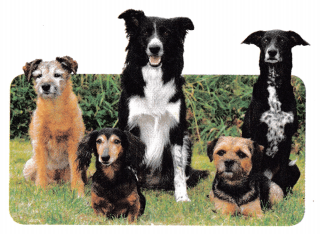 Texas Go Math Grade 3 Lesson 10.3 Answer Key 2