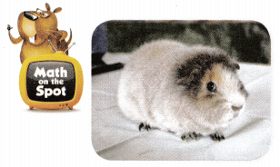 Texas Go Math Grade 3 Lesson 12.3 Answer Key 9