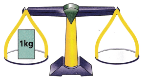Texas Go Math Grade 3 Lesson 18.8 Answer Key 17
