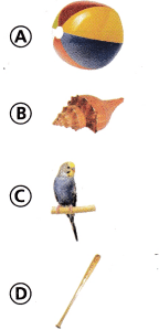 Texas Go Math Grade 3 Lesson 18.8 Answer Key 18