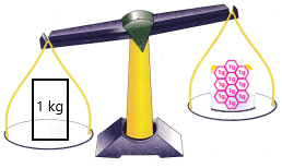 Texas-Go-Math-Grade-3-Lesson-18.8-Answer-Key-2