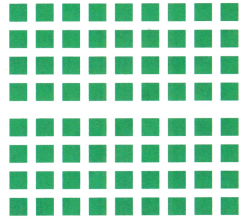Texas Go Math Grade 3 Lesson 7.4 Answer Key 13