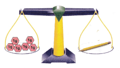 Texas Go Math Grade 3 Module 18 Assessment Answer Key 8