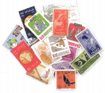 Texas Go Math Grade 4 Lesson 8.6 Answer Key Choose a Multiplication Method 11