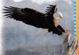 Texas Go Math Grade 4 Lesson 8.7 Answer Key Multiply 2-Digit Numbers 1