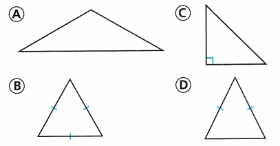 Texas Go Math Grade 5 Lesson 11.2 Answer Key 17